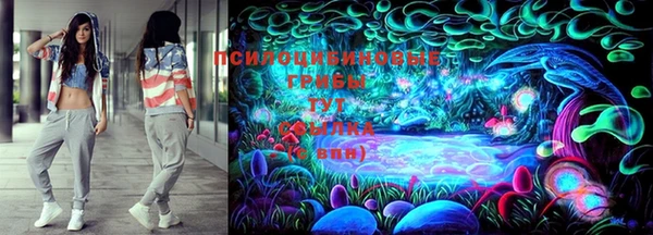ПСИЛОЦИБИНОВЫЕ ГРИБЫ Алексин