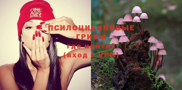 ПСИЛОЦИБИНОВЫЕ ГРИБЫ Алексин