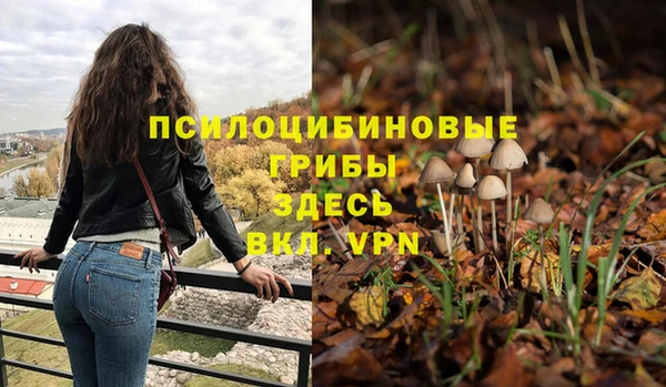 ПСИЛОЦИБИНОВЫЕ ГРИБЫ Алексин