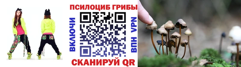 hydra зеркало  Ленинск  Галлюциногенные грибы прущие грибы  где найти наркотики 