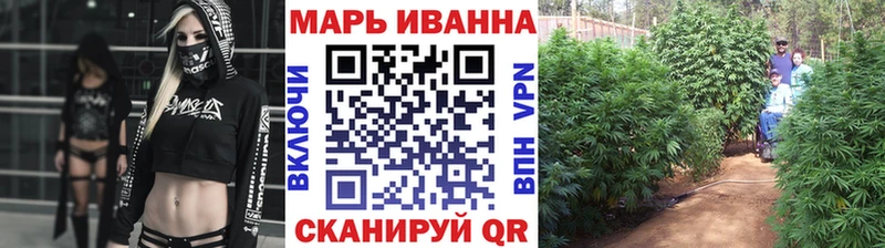 Шишки марихуана Ganja  Ленинск 